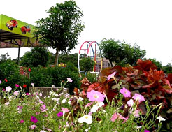 唐家樂園 唐家樂園