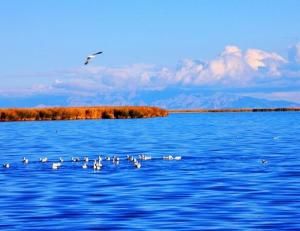 可魯克湖 可魯克湖