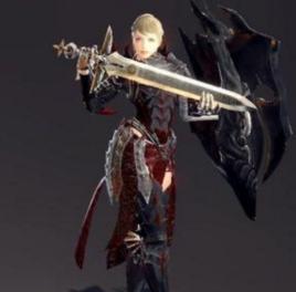 神聖防禦者 神聖防禦者