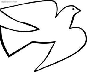 野鴿影院 野鴿影院