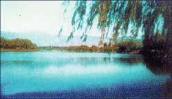翠湖