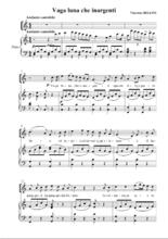 游移的月亮樂譜