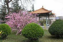 平涼市第一中學