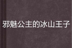 邪魅公主的冰山王子 邪魅公主的冰山王子