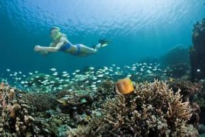 自由潛水 自由潛水