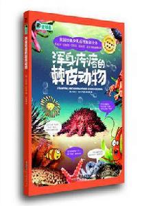 渾身疙瘩的棘皮動物 渾身疙瘩的棘皮動物