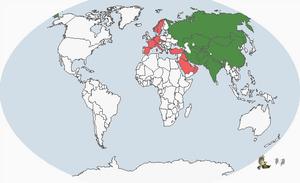 褐頭鵐分布圖(圖2)