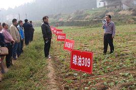 劍閣縣農業局 劍閣縣農業局