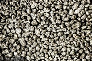 脹性粘土 脹性粘土