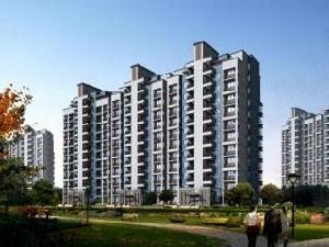 金泰新理城 金泰新理城