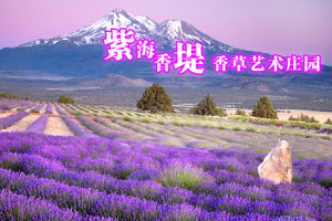 北京紫海香堤藝術莊園