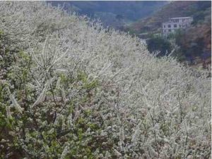 信宜市茶山鎮 信宜市茶山鎮