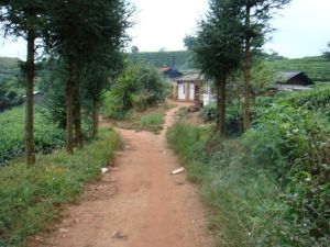 長梁子自然村 長梁子自然村