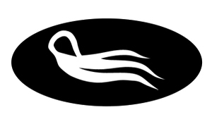 許昌市雅潔日用化工有限公司