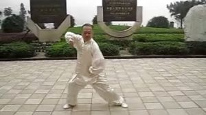 長拳八法 長拳八法