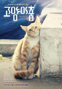 貓咪之舞 貓咪之舞