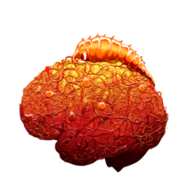 Nurax 蠕蟲進化圖解