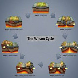 威爾遜旋迴 威爾遜旋迴