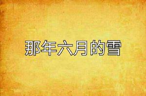 那年六月的雪