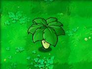 《植物大戰殭屍》[PopCap Games開發的遊戲]