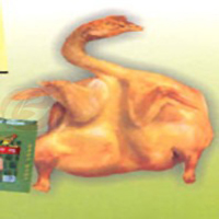 楚雄姚安風乾雞 楚雄姚安風乾雞