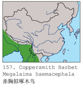 赤胸擬啄木鳥分布圖