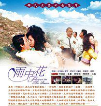 雨中花[金洙容執導電影]