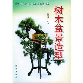 樹木盆景造型 樹木盆景造型