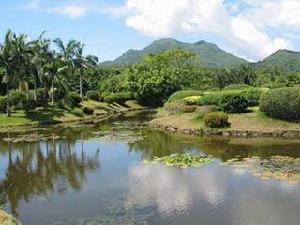 萬寧興隆熱帶花園
