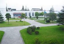 嘉定區婁塘中學 嘉定區婁塘中學