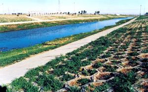 白城經濟開發區