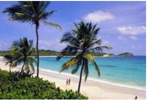 熱帶冬乾氣候 熱帶冬乾氣候