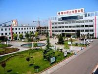 棗莊礦業（集團）付村煤業有限公司