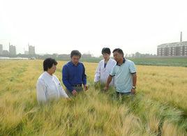 樂啤4號 樂啤4號