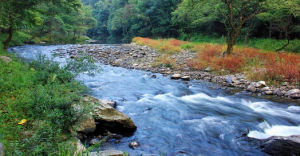 兩江峽谷國家森林公園 兩江峽谷國家森林公園