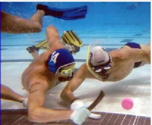 水下曲棍球 水下曲棍球