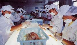 福建遠洋漁業集團公司 福建遠洋漁業集團公司