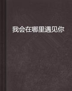 我會在哪裡遇見你 我會在哪裡遇見你
