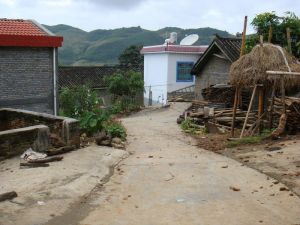 樹心寨村 樹心寨村