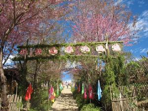 （圖）南美拉祜族鄉