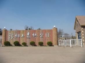 浮煙山森林公園