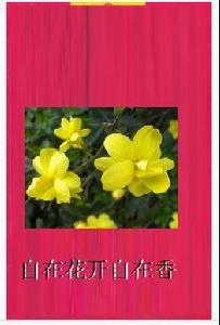 自在花開自在香 自在花開自在香