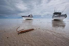 理論最低低潮面