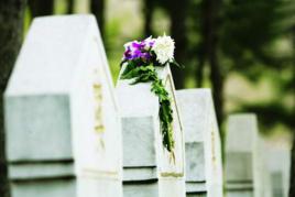 北京市金山陵園 北京市金山陵園