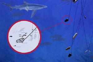 這種類似於章魚的觸鬚能夠幫助大樓保持直立狀態。