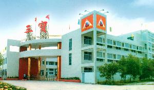 汕頭保稅區三寶光晶雲母科技有限公司