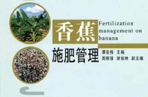 香蕉施肥管理 香蕉施肥管理