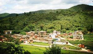 青龍自然村[上高橋回族彝族苗族鄉團結村委會下轄自然村]