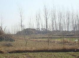 李三孤堆墓群 李三孤堆墓群