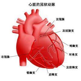 青年期心律失常 青年期心律失常